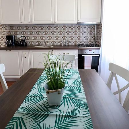 تيميشورا Old Square Apartments 5 المظهر الخارجي الصورة